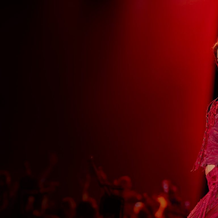 Shakira-Banner